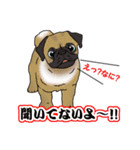 キュートすぎる犬（個別スタンプ：27）