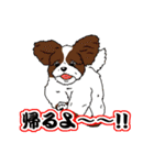 キュートすぎる犬（個別スタンプ：35）