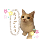 Kotaro kun ♡（個別スタンプ：2）