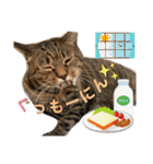 Johnny ＆ Chocola ❸（個別スタンプ：1）
