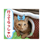 Johnny ＆ Chocola ❸（個別スタンプ：4）