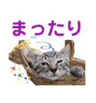 Johnny ＆ Chocola ❸（個別スタンプ：9）