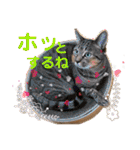 Johnny ＆ Chocola ❸（個別スタンプ：10）