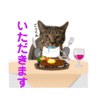 Johnny ＆ Chocola ❸（個別スタンプ：11）