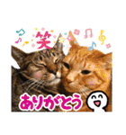 Johnny ＆ Chocola ❸（個別スタンプ：15）