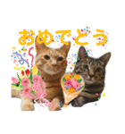 Johnny ＆ Chocola ❸（個別スタンプ：19）