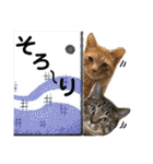 Johnny ＆ Chocola ❸（個別スタンプ：21）