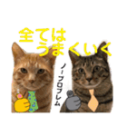 Johnny ＆ Chocola ❸（個別スタンプ：22）