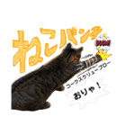 Johnny ＆ Chocola ❸（個別スタンプ：29）