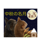 Johnny ＆ Chocola ❸（個別スタンプ：38）