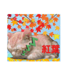 Johnny ＆ Chocola ❸（個別スタンプ：40）