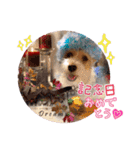 2021年スタンプ②（個別スタンプ：1）