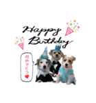 2021年スタンプ②（個別スタンプ：4）