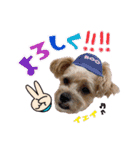 2021年スタンプ②（個別スタンプ：9）