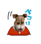 2021年スタンプ②（個別スタンプ：15）