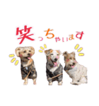 2021年スタンプ②（個別スタンプ：16）