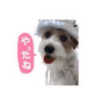2021年スタンプ②（個別スタンプ：23）