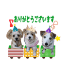2021年スタンプ②（個別スタンプ：24）