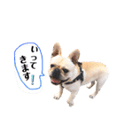 フレブル蘭丸の日常会話3（個別スタンプ：5）