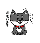 黒柴 お松（個別スタンプ：2）