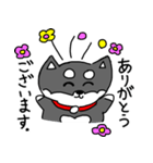 黒柴 お松（個別スタンプ：3）