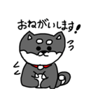 黒柴 お松（個別スタンプ：6）
