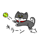 黒柴 お松（個別スタンプ：7）