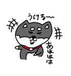 黒柴 お松（個別スタンプ：8）