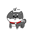 黒柴 お松（個別スタンプ：11）