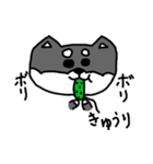 黒柴 お松（個別スタンプ：12）