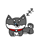 黒柴 お松（個別スタンプ：13）