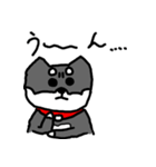 黒柴 お松（個別スタンプ：15）