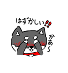 黒柴 お松（個別スタンプ：17）
