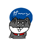 黒柴 お松（個別スタンプ：19）