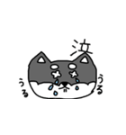 黒柴 お松（個別スタンプ：20）