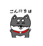 黒柴 お松（個別スタンプ：23）