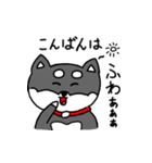 黒柴 お松（個別スタンプ：24）