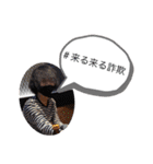 baruと愉快な仲間（個別スタンプ：12）