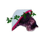 にやんたろう（個別スタンプ：9）