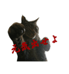 にやんたろう（個別スタンプ：10）