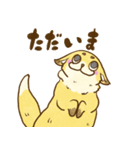 のあこんスタンプ（個別スタンプ：5）