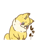 のあこんスタンプ（個別スタンプ：13）