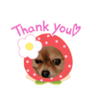 可愛い過ぎる犬のスタンプ（個別スタンプ：3）