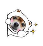 可愛い過ぎる犬のスタンプ（個別スタンプ：4）