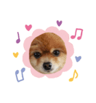 可愛い過ぎる犬のスタンプ（個別スタンプ：8）