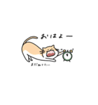 ちょっと関西弁よりにゃんこ（個別スタンプ：1）