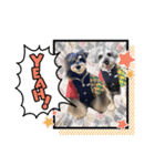 チマちゃんstamp-①（個別スタンプ：1）