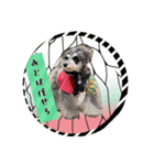 チマちゃんstamp-①（個別スタンプ：5）
