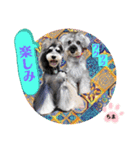 チマちゃんstamp-①（個別スタンプ：8）