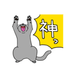 動きが豊かな猫達（個別スタンプ：8）